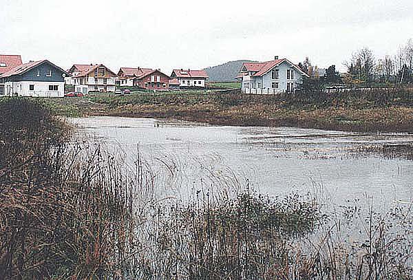 Schaukel